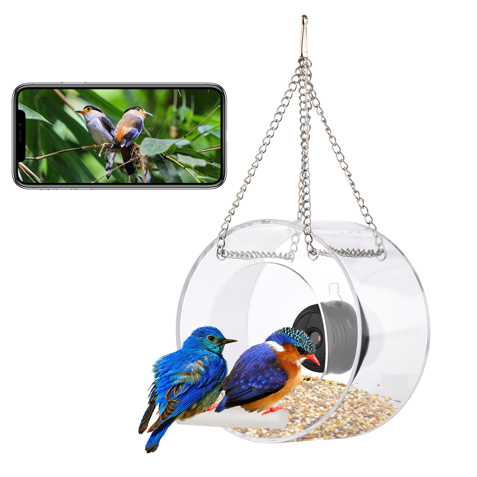 Clear Window Bird Feeder with Wifi Camera Suction Cup Smart Transparent Round Birdfeeder with 16GB TF Card