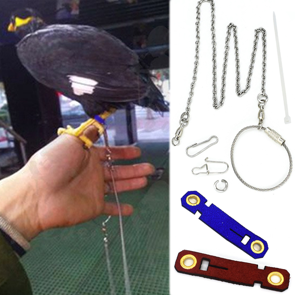 5 Sizes 2 Colour Pet Parrot Leg Ring Ankle Foot Chain Bird Ring Outdoor Flying Training Activity Opening Bird Stand Accessories